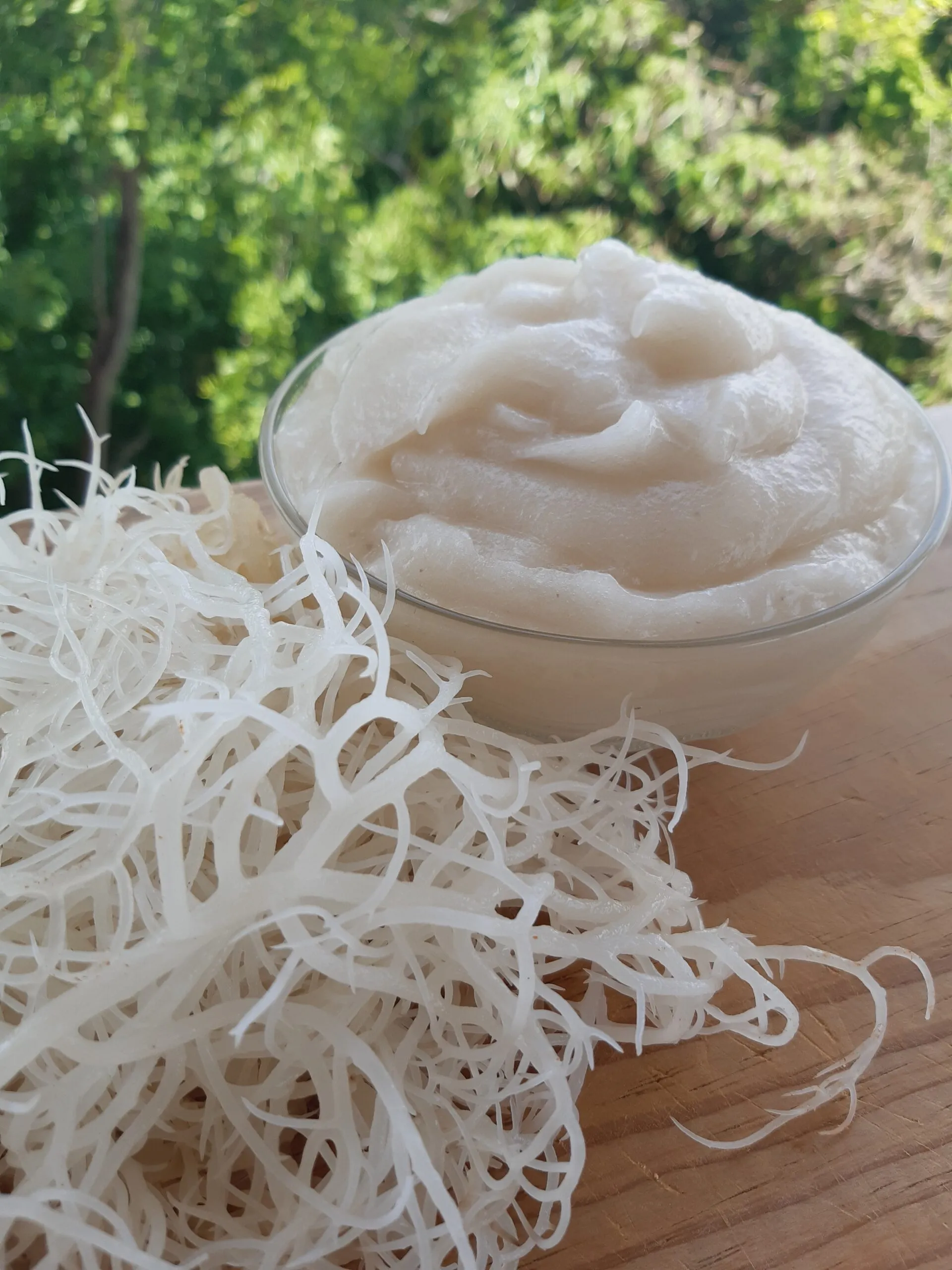 sea-moss-product-image-2