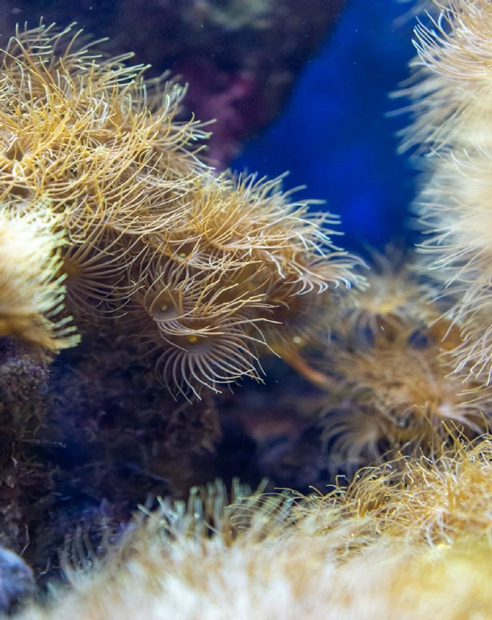 photo-1717173050588-c8518037ba13